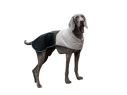 Jaqueta Pet, Impermeável, Tamanho P