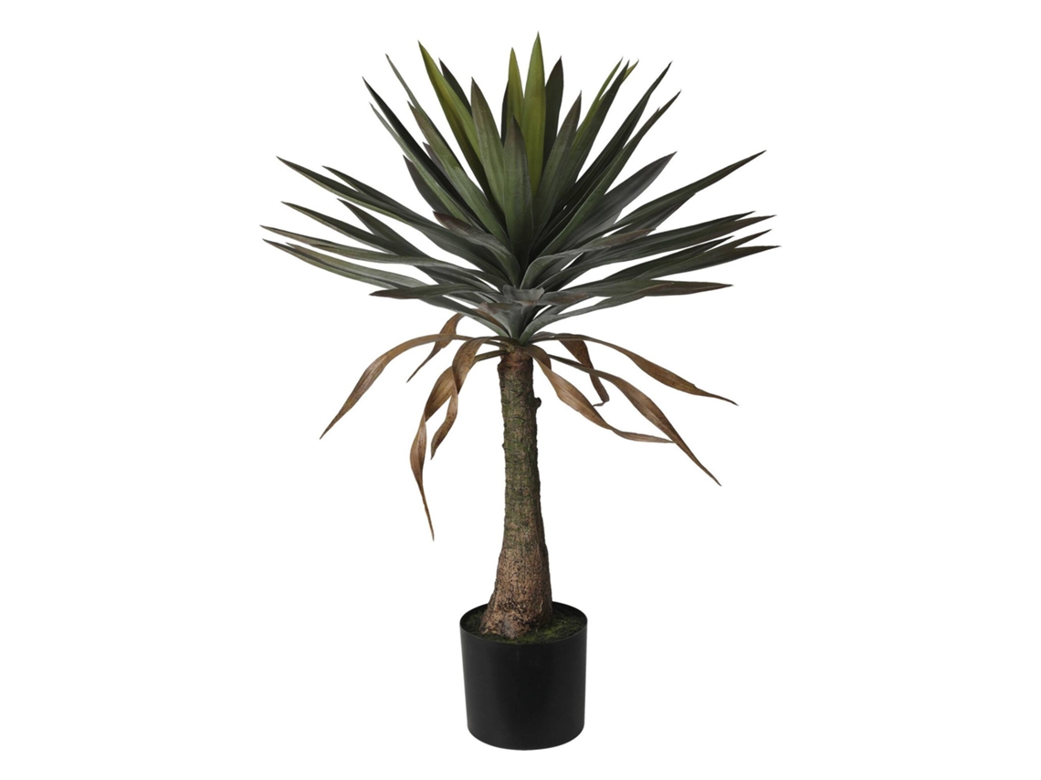 Planta De Mandioca Em Vaso Bem Caseiro Wellhome