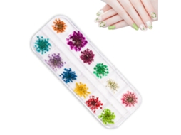 MEOIRUERY 12 Unidades De Adesivos Para Unhas 3d Com Flores Secas Reais, Adesivos Para Arte Unhas Diy, Design Manicure Com Flores Secas