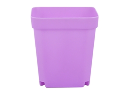 Vaso de Suculenta Decorativo com Drenagem | S/MARCA