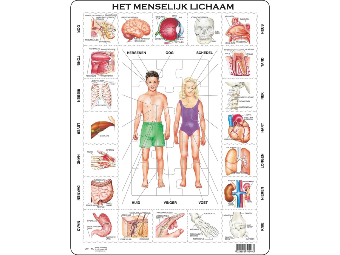 Puzzle LARSEN Maxi La-Ob1-Nl em Forma de 35 Peças