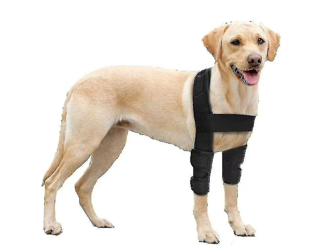 2026 protector de Codo Respirable para Perros Con Soporte para Hombros, Ideal para Higrama, Displasia Y Osteoartritis