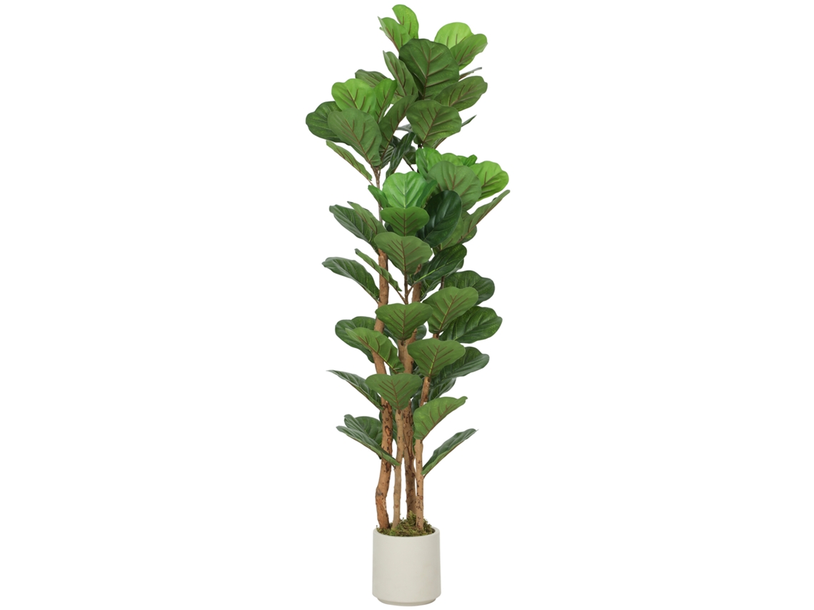 Planta Figueira Violino Artificial com 71 Folhas, Tronco Maciço de Madeira, Vidro, 50 x 50 x 150 Cm, Mc Verde