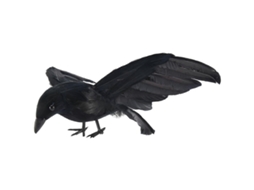 Penas De Halloween, Grande Pássaro Corvo, 25x40 Cm, Modelo De Corvo Preto, Brinquedo De Performance Ly Ebike