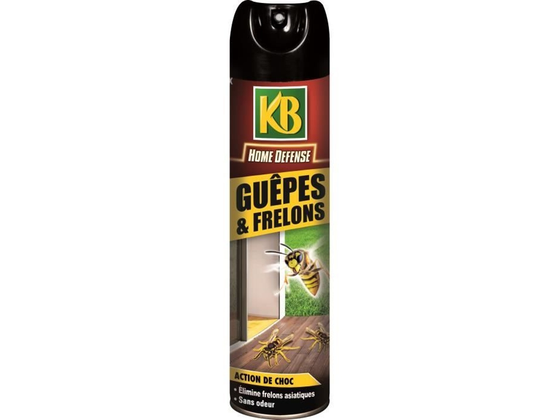 Spray especial para scooters 400 ml Kb