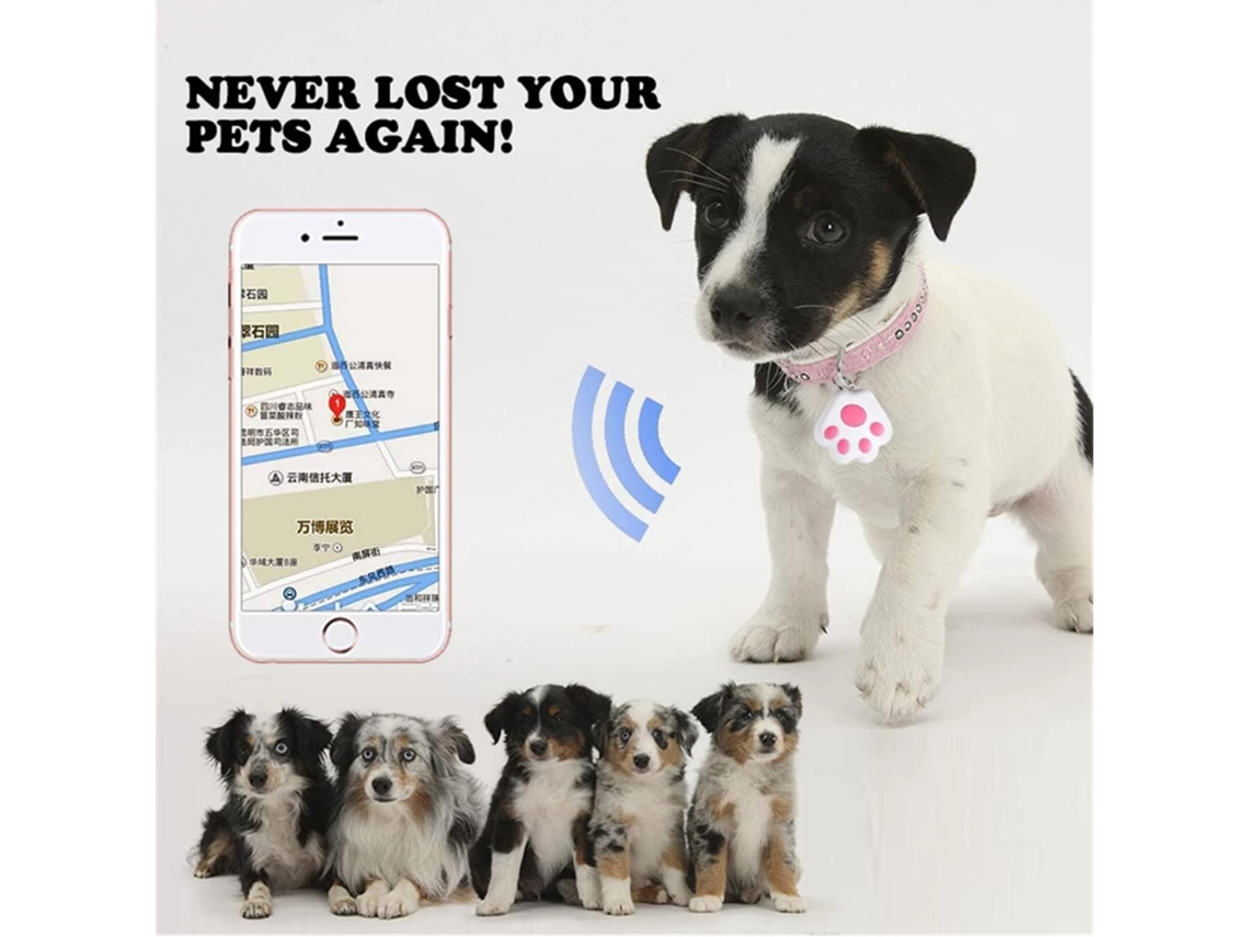 Mini Rastreador Gps para Gato/cachorro , Bluetooth AQUAFORGE (424010mm)