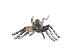 Mali aranha Falsa Simulada Lifelike Halloween Decoração Prop Toy para Crianças Acima de 3 Anos