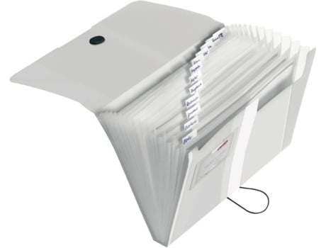 Pasta  11277936 Transparente (A4)