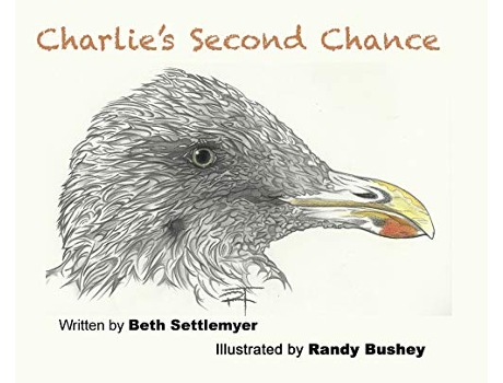 Livro Charlies Second Chance de Beth M Settlemyer (Inglês)