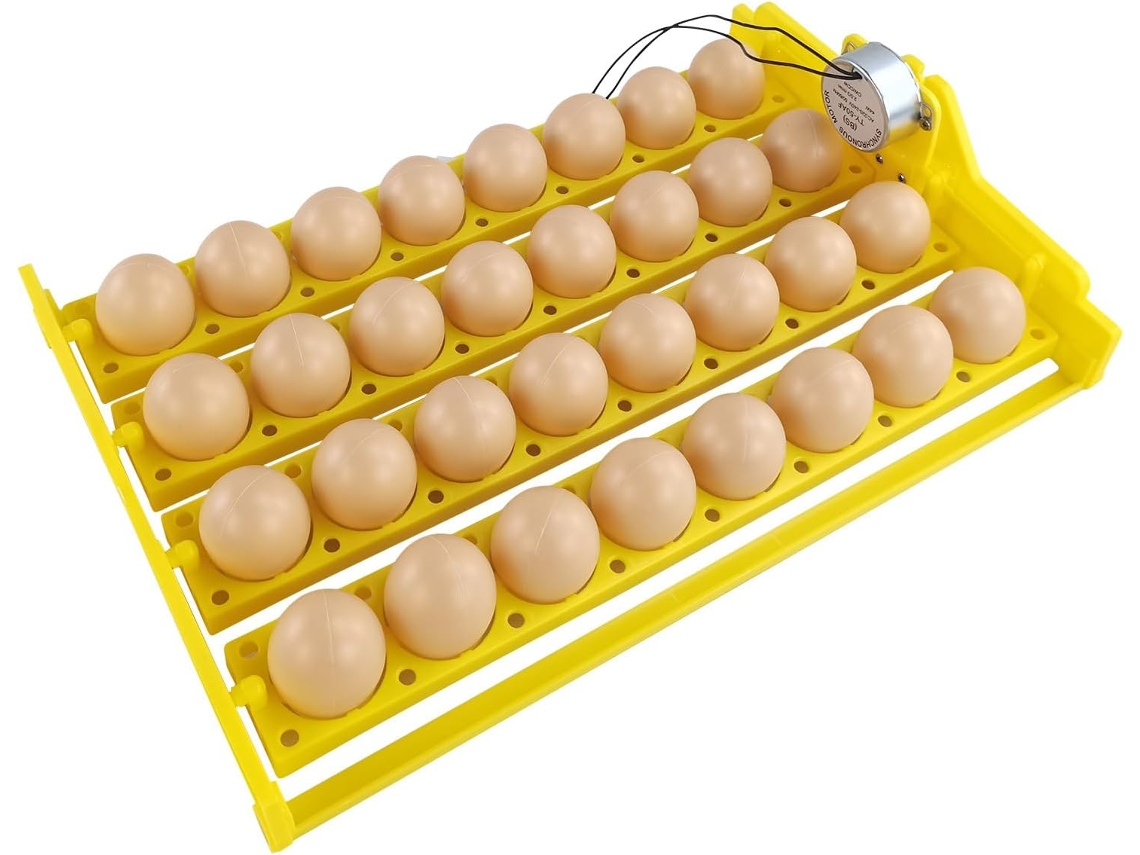 Espátula Automática Para Ovos – 32 Suportes