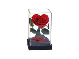 2026 rosa Corazón Eterno Preservada En Acrílico Transparente Regalo para San Valentín Cumpleaños Día de La Madre
