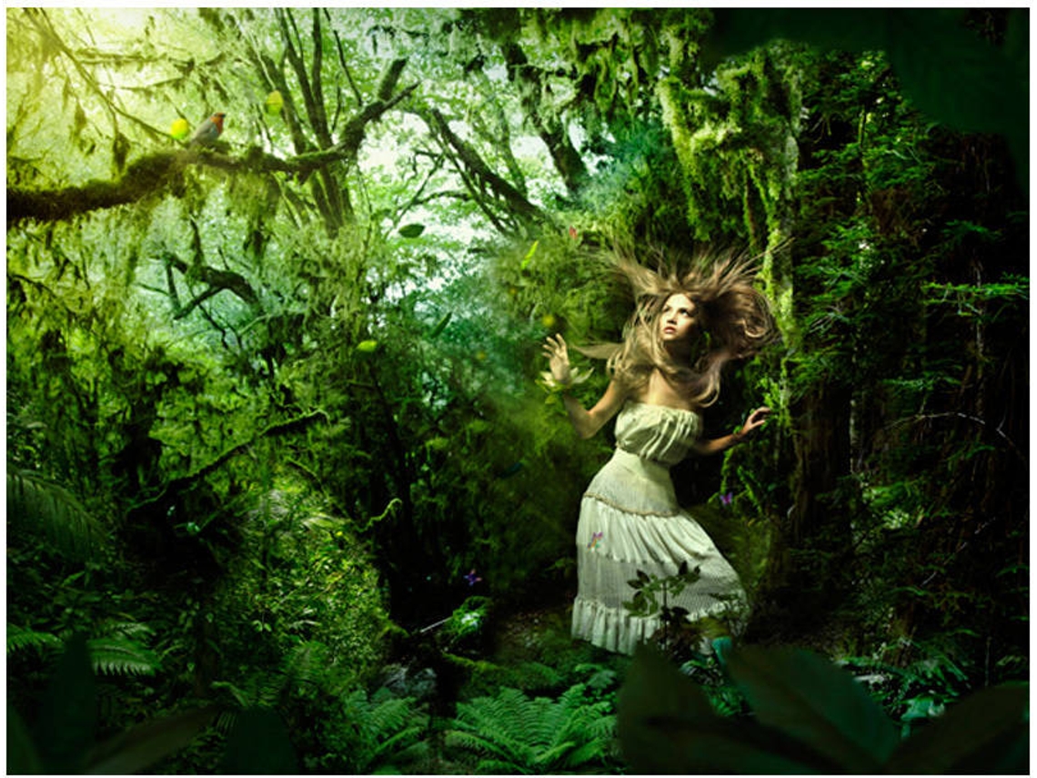 Papel de Parede ARTGEIST Perdido Na Floresta (300x231 cm)