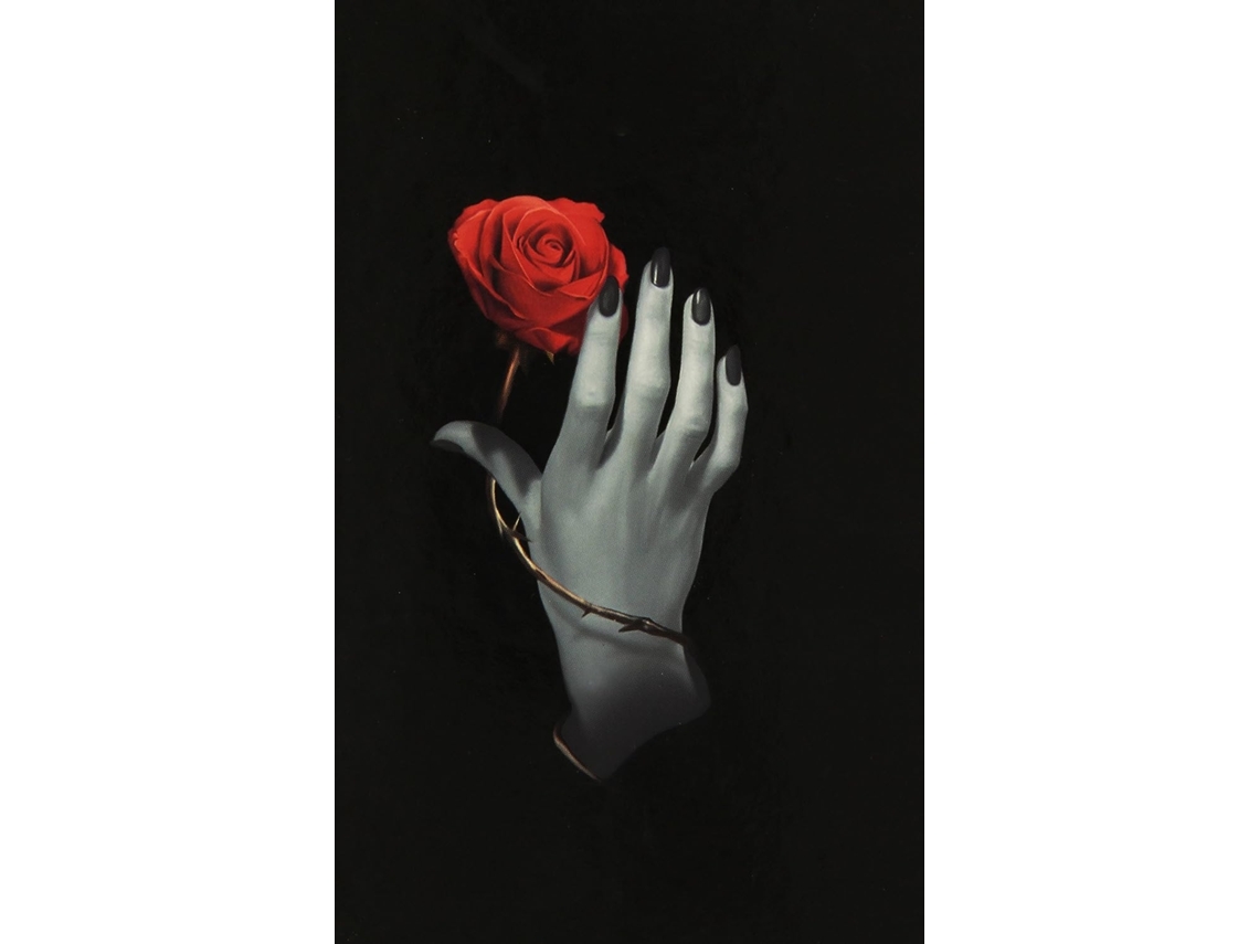Mão Rosa 9788865270592 BRILVIBERA