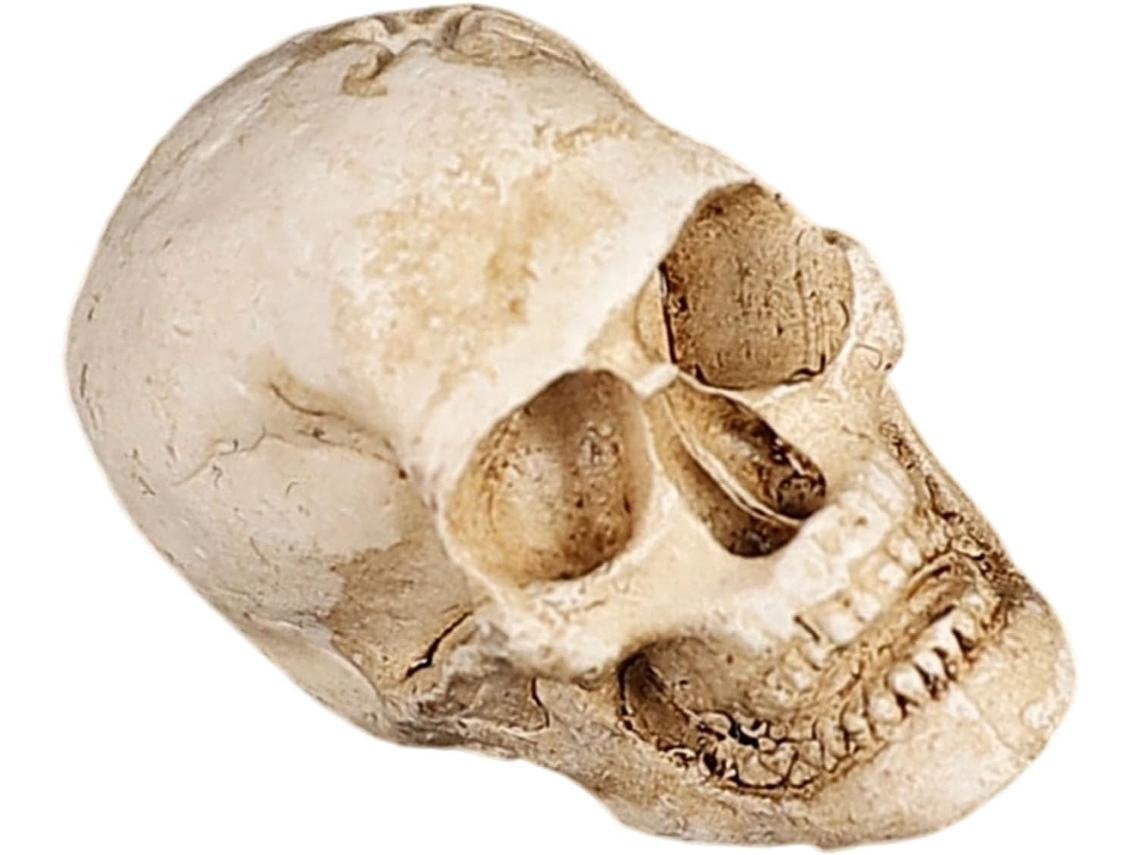 Escultura De Caveira De Resina Com Detalhes Intrincados, Decoração De Halloween Prateleira E Mesa