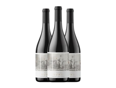 Vinho ABADIA DA COVA Xuno Negre Mencía Ribeira Sacra Crianza (0.75 L - 3 Unidades)