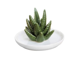 Suporte Para Cerâmica Aneis Aloe Jóias Presente Mulheres