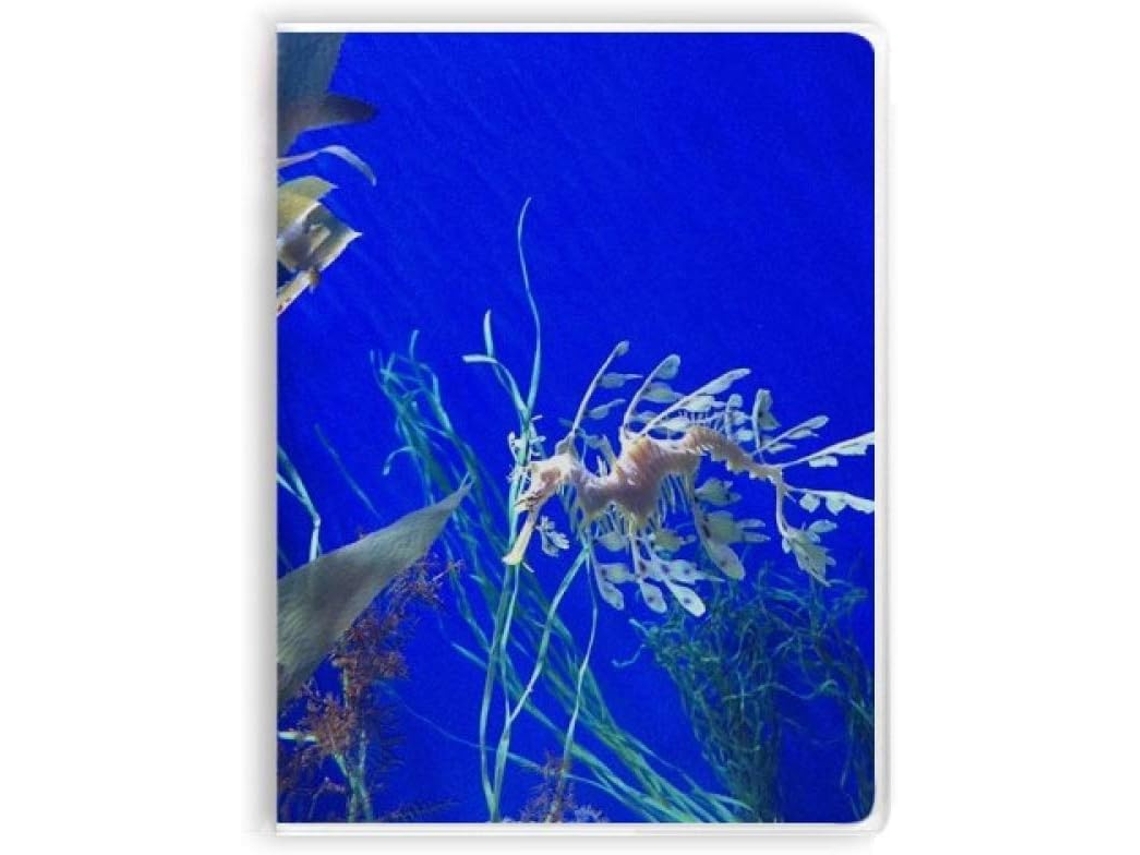 Carnet De Notas Com Sopa De Cobertura Motif Hippocampe Bleu Océan