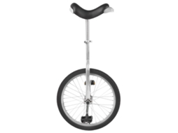 Fun Unicycle 20
