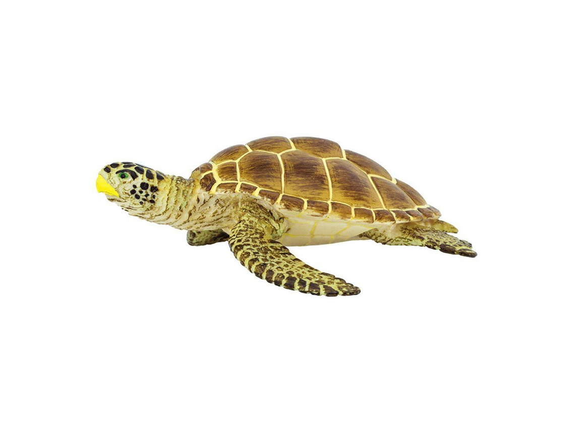 SAFARI Loggerhead Turtle