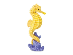 SAFARI Seahorse