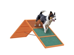 Rampas Dobráveis para Cães, Antiderrapantes, até 40 Kg, Laranja 173x59x66 Cm | S/MARCA