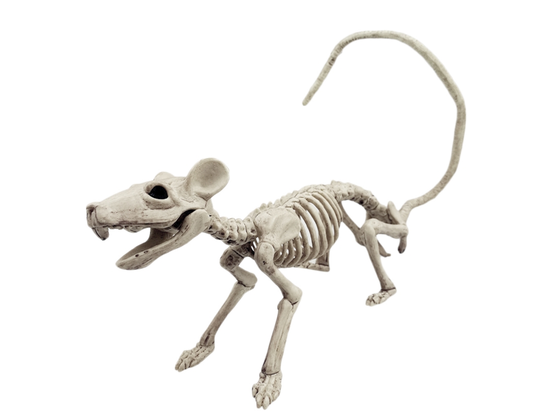 Primerox esqueleto de Animal Halloween Simulação Assustadora Decoração Festa Abs Diy Múltiplas Formas