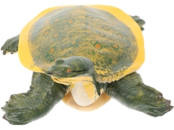 Tartaruga Marinha De Brinquedo Realista, Um Presente Educativo Para O