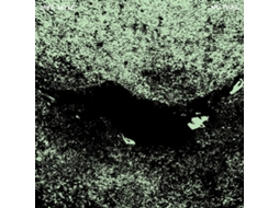 Vinil Jaye Jayle - No Trail And Other Unholy Paths