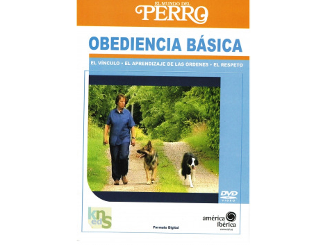 Livro Obediencia Básica Dvd de Sjosten e Inki