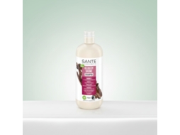Shampoo Sante Radiant Shine Birch 500ml