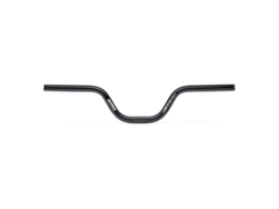Guiador Xenon Mini 101 Mm Rise Prateado 22.2 Mm / 600 Mmradio Raceline
