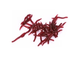 Isca Artificial Minhoca 4cm 200 Peças
