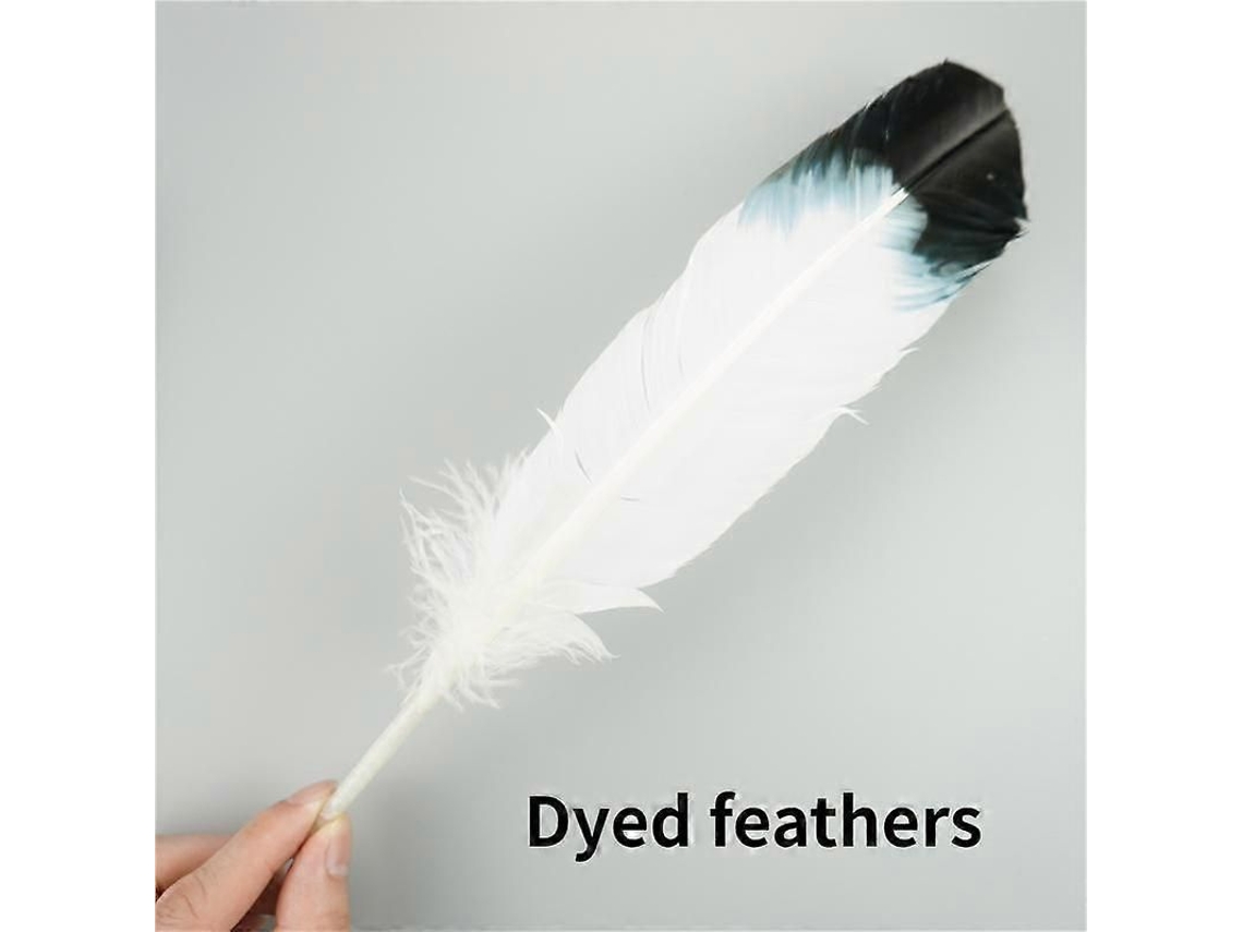 10 penas de águia naturais para artesanato, enfeites de cabeça, decoração festiva, artesanato DIY de carnaval, 25-30 cm (10-12 polegadas), 10 unidades