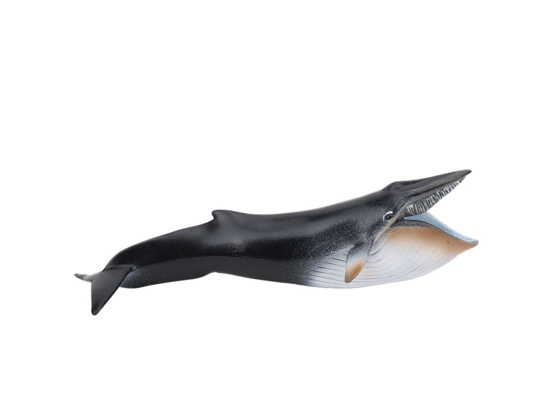 Mali brinquedo Educativo Modelo Animal Marinho Simulado Decorativo Mesa Infantil Pl127‑1341