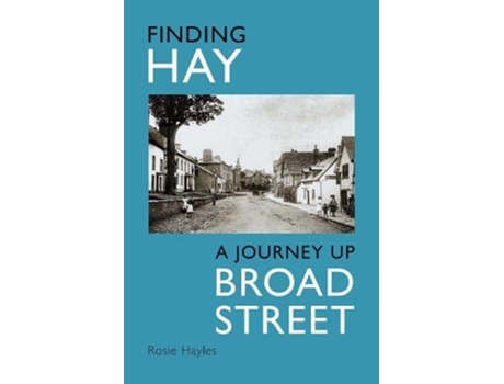 Livro Finding Hay de Rosie Hayles (Inglês)