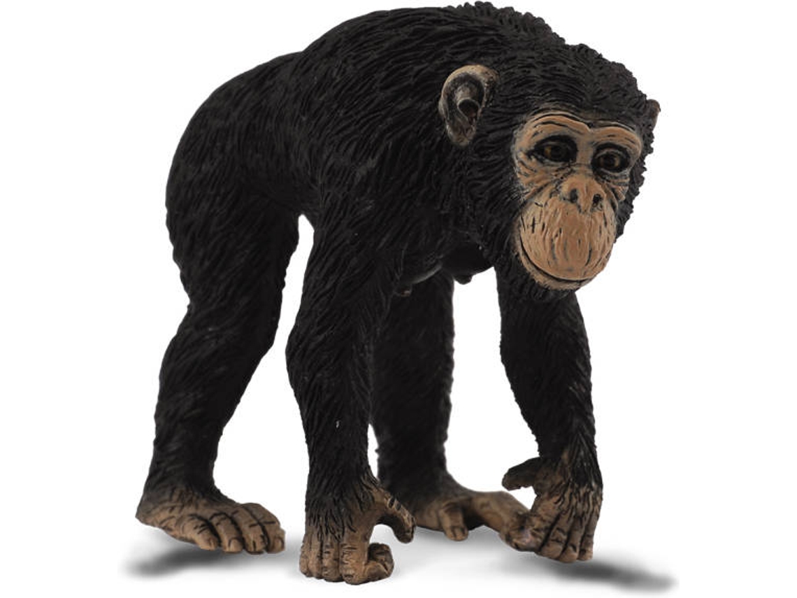 Figura COLLECTA chimpanzé