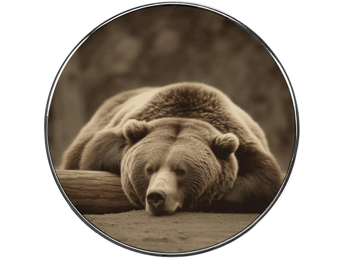 Ímã De Geladeira Com Design Urso Dormindo, Ímãs De Liga Metálica Fofos E Coloridos Para Geladeira, Quadro Branco