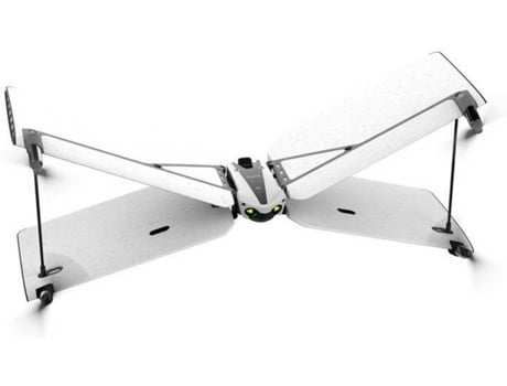 Resultado de imagem para  Swing Parrot