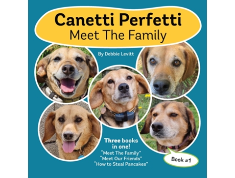 Livro Canetti Perfetti Meet The Family Book 1 de Debbie Levitt (Inglês)