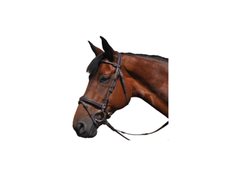 Cabeçotes de cavalo FLAGS&CUP Doha