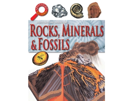 Livro Rocks Minerals and Fossils de Neil Curtis (Inglês)