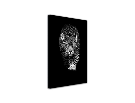 Declina Pintura Fotográfica em Tela Leopardo Pintura Decorativa de Animais em Preto e Branco 100X150 Cm