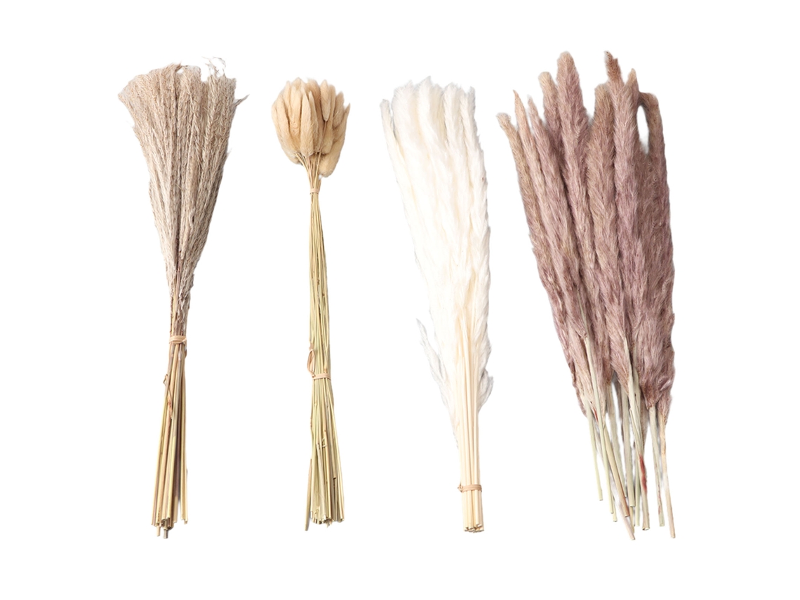 Grama Pampas Seca Natural e Rabo de Coelho para Decoração