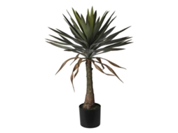 Planta De Mandioca Em Vaso Bem Caseiro Wellhome
