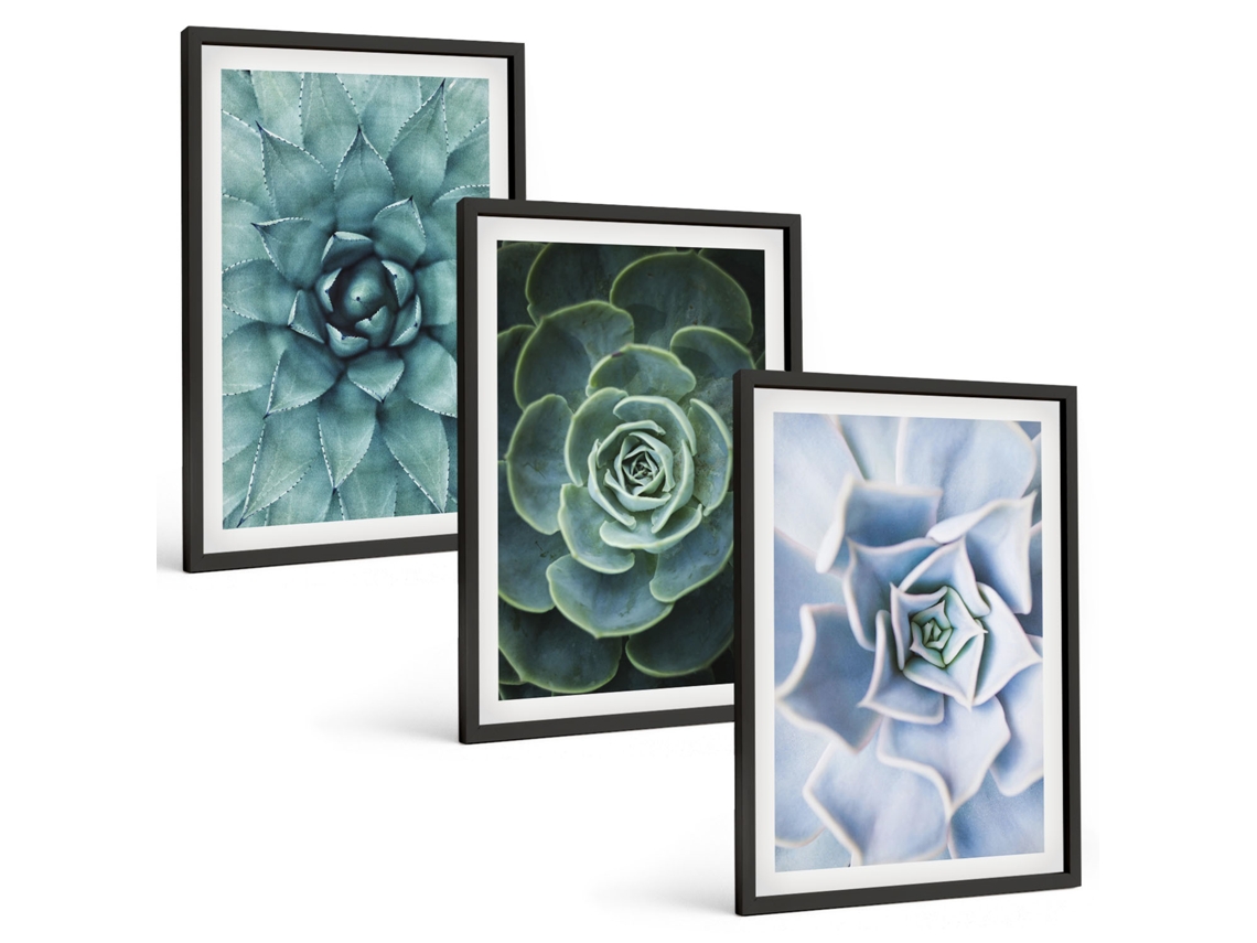 Conjunto De Pinturas Plantas Suculentas Em Verde Turquesa Espelharte (3 Peças 40x60 Cm)