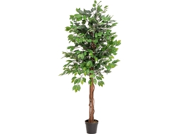 Planta Artificial EUROPALMS Ficus Multi Trunk (Verde - 150 cm)