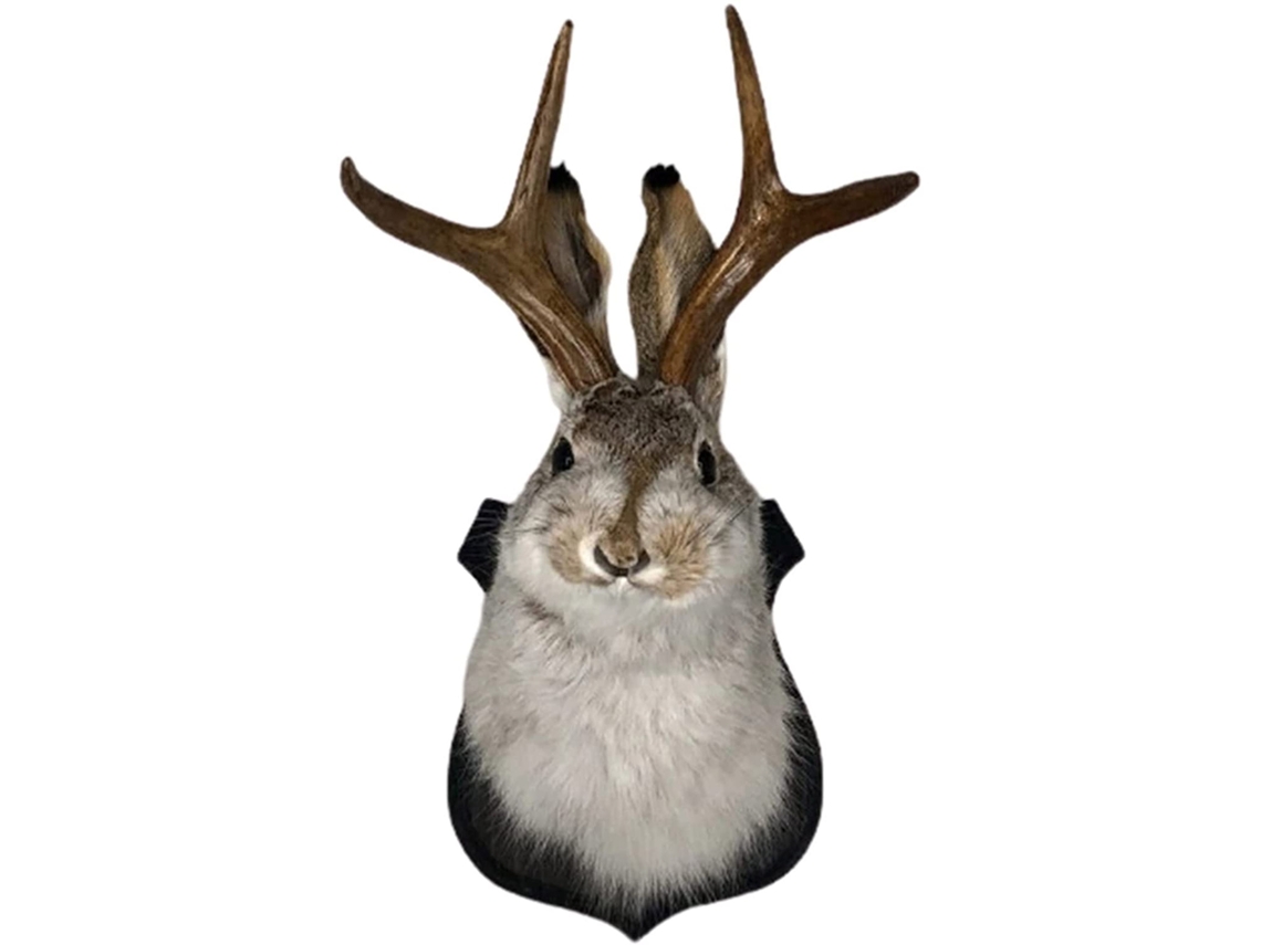 Lenda Última Versão Antlers