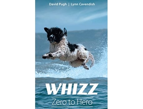 Livro Whizz Zero to Hero de David Pugh Lynn Cavendish (Inglês)