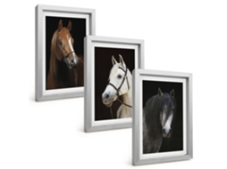 Composição De Quadros Retratos De Cavalos Em Tons De Pelo Espelharte (3 Peças 20x30 Cm)