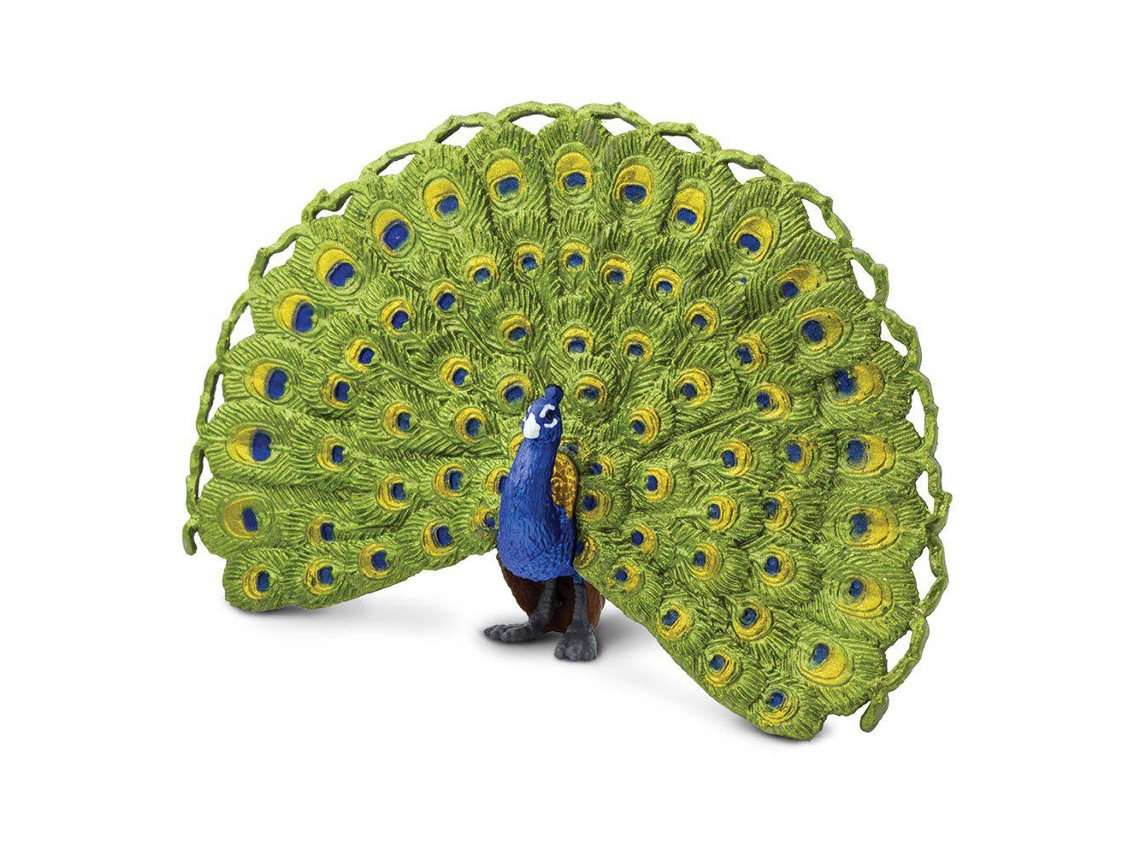 SAFARI Peacock